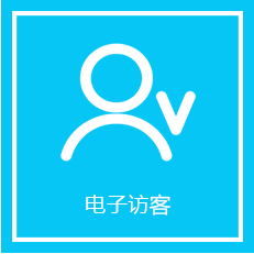 电子访客